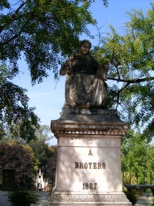 450px-Avelar_Brotero