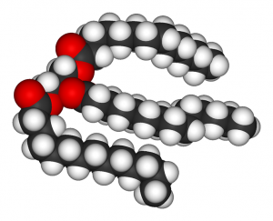 739px-Trimyristin-3D-vdW