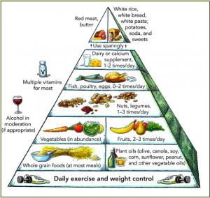 Harvard_food_pyramid