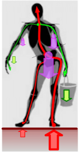 MmP21FlussoForze