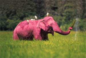 Pink_Elephant